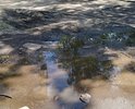 Ужасное состояние дороги, особенно после дождя. Вместо асфальта ямы глубиной больше 50 см. Домоуправление и городские власти не берутся решать проблему. Прошу помочь решить данный вопрос.