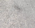 По адресу: г. Балашиха, мкр. Гагарина, 29. Дорога вокруг дома вся в ямах. Передвигаться по дороге сложно особенно если дождь и не видно ям под водой. Много лет не делался ремонт, не делалась парковочная разметка.