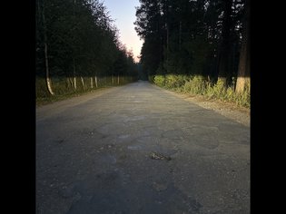 None, 17Н-350