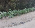 многочисленные повреждения дорожного покрытия, размеры каждого из которых превышают нормативы, установленные ГОСТ Р 50597-93