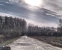 Плохая дорога на данном участке дороги, а точнее ее отсутствие. Данный участок дороги связывает несколько деревень и снт. Прошу обратить внимание, дорога проходит мимо действующей школы Федоровской.
Просим принять меры!