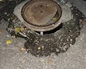 Открытый люк рядом с местом парковки машин