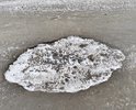Требуется срочный ремонт дорожного покрытия, т.к. проезжая часть обозначенная на схеме участка дороги при подъезде к жилому дому по адресу: Свердловская область, г. Полевской, мкр-н ул. Зеленый Бор-2, д. 38 имеет углубления в зоне деформационных швов глубиной более 3 см. В силу пункта 5.2.5 ГОСТ Р 50597-2017 не допускаются отдельные выступы или углубления в зоне деформационных швов высотой или глубиной более 3 см, их устранение на всех категориях дорог и группах улиц осуществляют в течение 7 сут. с момента обнаружения.