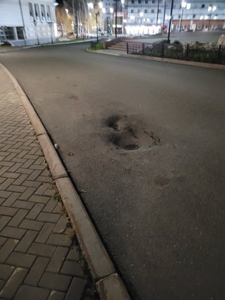 None, улица Мира