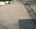 В дождливую погоду здесь всегда лужа, и не реально пройти на тротуар для пешеходов, приходится ходить по проезжей части.