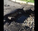 Проезд между домами Гончарова 1А и Бошняка 2А вымыло. Ремонта там никогда небыло.