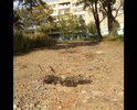 Дорога к домам ул. Советской 35, 37 размыта.