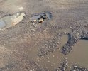 Дорогу сделали 2 года назад, а она уже разбита.