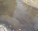 Пешеходная дорога в центре года не ремонтировалась очень давно, бордюров нет, асфальт местами совсем нет.