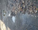 Пешеходная дорога в плохом состоянии