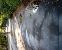 Пешеходная дорога в плохом состоянии