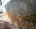 Пешеходная дорога в плохом состоянии