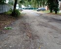Дорога плохая, пешеходной дооржки вообще нет. Рядом учебного заведение.