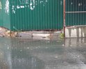 Дождь...а как пройти в зону для пешеходов? По воздуху?