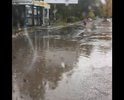 Вода стоит на пешеходном переходе