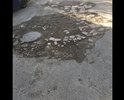 Подъезд к дому и к РАНХиГС вот в таком состоянии, канавы невозможно объехать!