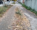 Пешеходная дорога в ненадлежащей состоянии. Бордюров нет, слива нет, во время дождя люди ходят по основной машине, грязь после дождя.