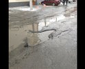 Ул. Мало-Тобольская, вся в ямах, проезжают большегрузы, разбивая остатки дороги, отсутствует дренаж, вода стоит на всей улице.
