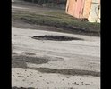 Большие ямы,которые растут с каждым днем!!невозможно объехать!!и так по всей улицы!