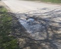 Зимой дорожники залатали эту яму прямо на снег, пришла весна, вот вам результат, яма опять