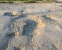 Проблема уже давно, лет 10 точно, слышим только обещания ремонта, дорогу проще объехать по степи, ямы достигают 7 см в глубину.