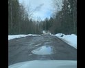 Отвратительная дорога(((