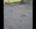 Большие ямы во дворе дома необходимо устранить