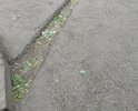 Кругом ямы. Тяжело проехать во дворе
