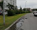 Выбоины асфальта в дорожном полотне, глубина ям до 10 см. требуется ремонт, согласно технологии!