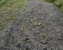 Пешеходная дорожка от дома 12 по ул. 19 Партсъезда к начальной школе 12 и прилегающая территория к дому 13 по улице Мира представляют опасность для участников дорожного движения: рядом находится начальная школа, филиал городской больницы и большая детская площадка. Дети по пути в школу, больницу, магазин ежедневно подвергаются опасности травмирования. Дорожка состоит из выпирающих камней, за которые запинаешься при передвижения.
Проезжая часть с торца дома 13 по улице Мира и у ФАПа не имеет асфальтового покрытия, люк возвышается над проезжей  частью. Весной и осенью здесь очень грязно. Территория портит внешний облик микрорайона.