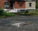 Пешеходная дорожка от дома 12 по ул. 19 Партсъезда к начальной школе 12 и прилегающая территория к дому 13 по улице Мира представляют опасность для участников дорожного движения: рядом находится начальная школа, филиал городской больницы и большая детская площадка. Дети по пути в школу, больницу, магазин ежедневно подвергаются опасности травмирования. Дорожка состоит из выпирающих камней, за которые запинаешься при передвижения.
Проезжая часть с торца дома 13 по улице Мира и у ФАПа не имеет асфальтового покрытия, люк возвышается над проезжей  частью. Весной и осенью здесь очень грязно. Территория портит внешний облик микрорайона.