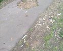 разрушение асфальтового покрытия на тротуаре