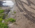 После дождя невозможно пройти по улице, в грязи застревают машины, которые собирают мусор.