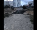 Здравствуйте. Вот так не доделали ремонт тротуаров на пересечении улиц Маячная и Столетовский проспект города Севастополь. Неделю назад бросили и перешли делать тротуары на соседнюю улицу.