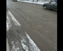 Дорога латана-перелатана. Дамбу в 15-м году починили предприниматели. Нужно новое покрытие. Каждый год дорога разрушается, расползается как овраг.
