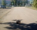 Взяли пробу асфальта, а яму не закрыли.