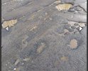 Дорога в ямах убита, ехать не возможно, регионального значения