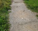 участок тротуара по улице Мира, от школы 12 до жилого дома по ул. Мира, д. 1: разрушение покрытия, заросли кустарника