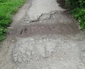 участок тротуара по улице Мира, от школы 12 до жилого дома по ул. Мира, д. 1: разрушение покрытия, заросли кустарника