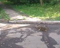 с момента застройки района ни разу не было ремонта