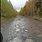 Полевской городской округ