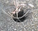 отсутствует люк! огород ли своими силами, как смогли. обращение сделали. ответ пришёл, что люк установлен 4. 03.2021, но люк так до сих пор не установлен!