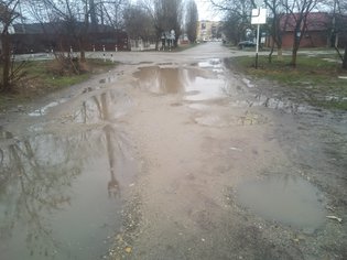 None, Дубзаводская улица