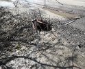 31 марта 2021 года. люк до сих пор отсутствует, хотя Ваш портал писал о том, что люк установлен ещё в начале марта!
