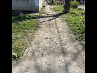 None, улица Немичевых