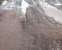 21 год 21 век а дороги до сих пор нет.