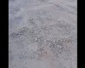 полное отсутствие асфальтового покрытия(во время и после дождя озеро),глубокие ямы и выбоины .невозможно проехать не зацепив днище автомобиля,в ближайшее время возможно повреждение автомобиля.местами ямы с резким обрывом,возможно повреждение колеса автомобиля(надрез резины)!!!!!!