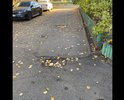 На повороте во двор дома по адресу Люберцы Калинина посёлок 37. Напротив Храма. Уже эти ямы около года.