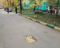 8 месяцев никто не обращает внимание на две ямы во дворе