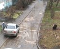 Дорог нет во всем Новомосковске, от слова СОВСЕМ. В любой двор зайди одна и та же картина.Это Мира 54